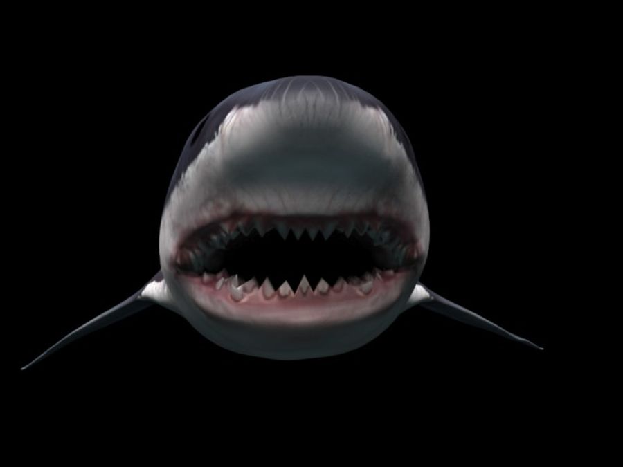 how to make sharks 3d around on a mac